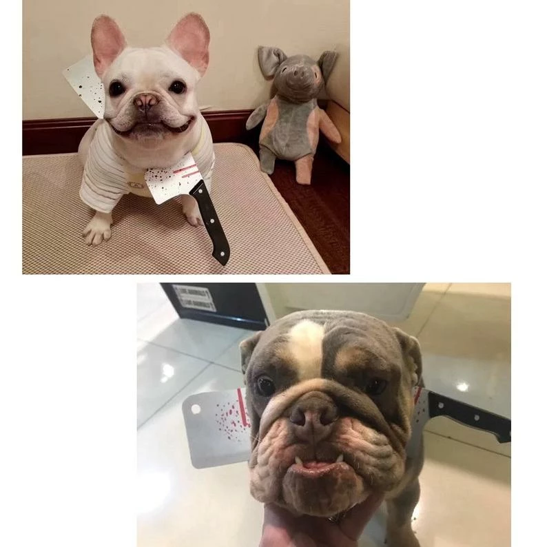 Onlineamericanstore Funny Halloween Costume Saw Axe Headband For Pet Dog Cat And Human, Great For Photo Props, Party Idea And Just For Laugh Update Your Settings Halloween Pets Accessories 9 Onlineamericanstore Funny Halloween Costume Saw Axe Headband For Pet Dog Cat And Human, Great For Photo Props, Party Idea And Just For Laugh Update Your Settings Halloween Pets Accessories