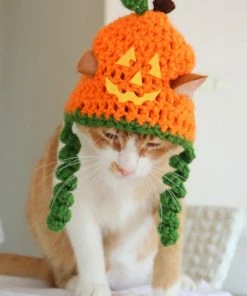 Onlineamericanstore Jackolantern Cat Hat, Pumpkin Cat Hat, Halloween Cat Hat, Jack-o-lantern Hat For Cats And Small Dogs, Halloween Pet Accessory, Hats For Cats