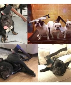 Onlineamericanstore Funny Halloween Costume Saw Axe Headband For Pet Dog Cat And Human, Great For Photo Props, Party Idea And Just For Laugh Update Your Settings Halloween Pets Accessories 20 Onlineamericanstore Funny Halloween Costume Saw Axe Headband For Pet Dog Cat And Human, Great For Photo Props, Party Idea And Just For Laugh Update Your Settings Halloween Pets Accessories