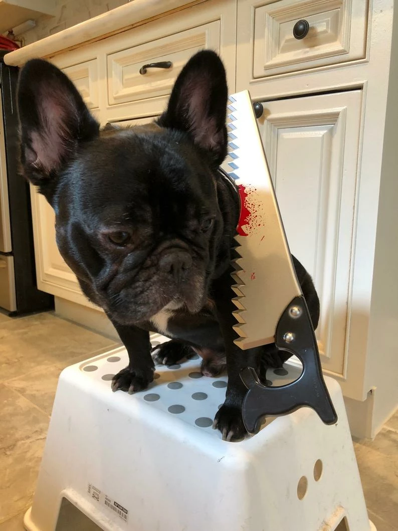 Onlineamericanstore Funny Halloween Costume Saw Axe Headband For Pet Dog Cat And Human, Great For Photo Props, Party Idea And Just For Laugh Update Your Settings Halloween Pets Accessories 6 Onlineamericanstore Funny Halloween Costume Saw Axe Headband For Pet Dog Cat And Human, Great For Photo Props, Party Idea And Just For Laugh Update Your Settings Halloween Pets Accessories