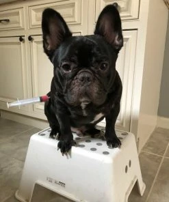 Onlineamericanstore Funny Halloween Costume Saw Axe Headband For Pet Dog Cat And Human, Great For Photo Props, Party Idea And Just For Laugh Update Your Settings Halloween Pets Accessories 16 Onlineamericanstore Funny Halloween Costume Saw Axe Headband For Pet Dog Cat And Human, Great For Photo Props, Party Idea And Just For Laugh Update Your Settings Halloween Pets Accessories