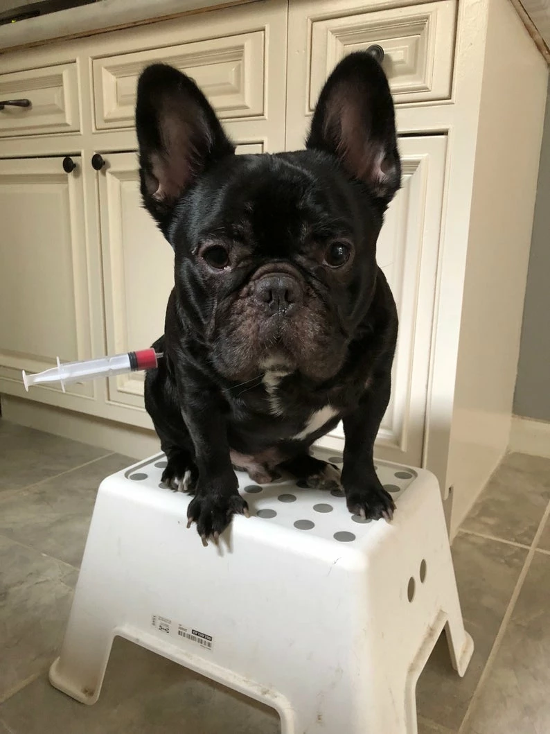 Onlineamericanstore Funny Halloween Costume Saw Axe Headband For Pet Dog Cat And Human, Great For Photo Props, Party Idea And Just For Laugh Update Your Settings Halloween Pets Accessories 7 Onlineamericanstore Funny Halloween Costume Saw Axe Headband For Pet Dog Cat And Human, Great For Photo Props, Party Idea And Just For Laugh Update Your Settings Halloween Pets Accessories