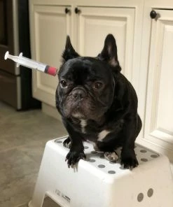 Onlineamericanstore Funny Halloween Costume Saw Axe Headband For Pet Dog Cat And Human, Great For Photo Props, Party Idea And Just For Laugh Update Your Settings Halloween Pets Accessories 17 Onlineamericanstore Funny Halloween Costume Saw Axe Headband For Pet Dog Cat And Human, Great For Photo Props, Party Idea And Just For Laugh Update Your Settings Halloween Pets Accessories