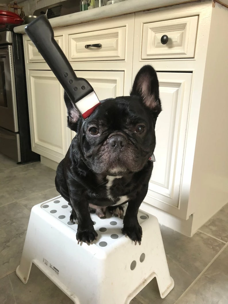 Onlineamericanstore Funny Halloween Costume Saw Axe Headband For Pet Dog Cat And Human, Great For Photo Props, Party Idea And Just For Laugh Update Your Settings Halloween Pets Accessories 4 Onlineamericanstore Funny Halloween Costume Saw Axe Headband For Pet Dog Cat And Human, Great For Photo Props, Party Idea And Just For Laugh Update Your Settings Halloween Pets Accessories