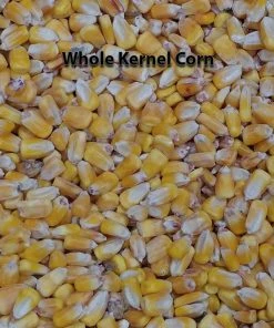 Onlineamericanstore Worn American Flag Themed 2x4 Custom Cornhole (HOLIDAY SPECIAL!!!!) Board Set With Bags | Custom Corn Hole | Bag Toss | Bean Bag Toss Update Your Settings 8 Onlineamericanstore Worn American Flag Themed 2x4 Custom Cornhole (HOLIDAY SPECIAL!!!!) Board Set With Bags | Custom Corn Hole | Bag Toss | Bean Bag Toss Update Your Settings