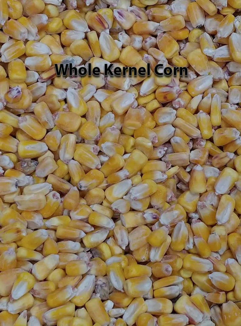 Onlineamericanstore Worn American Flag Themed 2x4 Custom Cornhole (HOLIDAY SPECIAL!!!!) Board Set With Bags | Custom Corn Hole | Bag Toss | Bean Bag Toss Update Your Settings 5 Onlineamericanstore Worn American Flag Themed 2x4 Custom Cornhole (HOLIDAY SPECIAL!!!!) Board Set With Bags | Custom Corn Hole | Bag Toss | Bean Bag Toss Update Your Settings