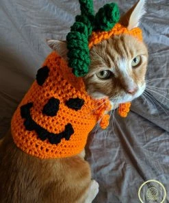 Onlineamericanstore Pumpkin Cat Costume/Sweater (with Or Without Pumpkin Hat)- Halloween Costumes For Cats- Pumpkin Cat- Pumpkin Cat Hat- Jack O Lantern Cat Halloween Pets Accessories