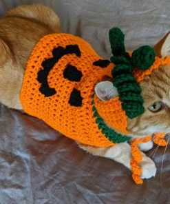 Onlineamericanstore Pumpkin Cat Costume/Sweater (with Or Without Pumpkin Hat)- Halloween Costumes For Cats- Pumpkin Cat- Pumpkin Cat Hat- Jack O Lantern Cat Halloween Pets Accessories