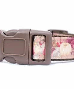 Onlineamericanstore Vintage Pumpkin Dog Collar - Thanksgiving Dog Collar- 1 Inch Wide - Buckle Or Martingale Collar - Fall Dog Collar - Victorian Dog Collar Halloween Pets Accessories 9 Onlineamericanstore Vintage Pumpkin Dog Collar - Thanksgiving Dog Collar- 1 Inch Wide - Buckle Or Martingale Collar - Fall Dog Collar - Victorian Dog Collar Halloween Pets Accessories