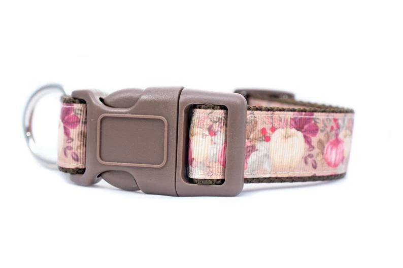 Onlineamericanstore Vintage Pumpkin Dog Collar - Thanksgiving Dog Collar- 1 Inch Wide - Buckle Or Martingale Collar - Fall Dog Collar - Victorian Dog Collar Halloween Pets Accessories 5 Onlineamericanstore Vintage Pumpkin Dog Collar - Thanksgiving Dog Collar- 1 Inch Wide - Buckle Or Martingale Collar - Fall Dog Collar - Victorian Dog Collar Halloween Pets Accessories