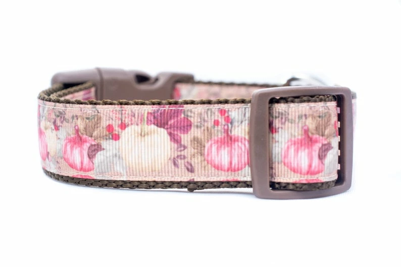 Onlineamericanstore Vintage Pumpkin Dog Collar - Thanksgiving Dog Collar- 1 Inch Wide - Buckle Or Martingale Collar - Fall Dog Collar - Victorian Dog Collar Halloween Pets Accessories 7 Onlineamericanstore Vintage Pumpkin Dog Collar - Thanksgiving Dog Collar- 1 Inch Wide - Buckle Or Martingale Collar - Fall Dog Collar - Victorian Dog Collar Halloween Pets Accessories