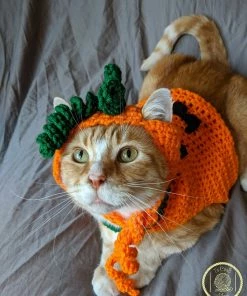 Onlineamericanstore Pumpkin Cat Costume/Sweater (with Or Without Pumpkin Hat)- Halloween Costumes For Cats- Pumpkin Cat- Pumpkin Cat Hat- Jack O Lantern Cat Halloween Pets Accessories