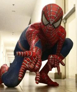 Onlineamericanstore Spider Man Costume Halloween Fancy Dress Party Superheroes Mens Costumes