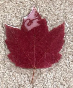 The American Store Resin Preserved Autumn Leaf W/ Personalised Message. Wedding, Birthday Gifts, Christmas Decorations. Maple Leaf / Real Fall Leaves For Sale