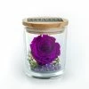 Onlineamericanstore The Evermore Preserved Purple Rose Keepsake Gift - Gift For Girlfriend - Gift For Wife - Gift For Women - Anniversary Gift Mother's Day Gift 2 Onlineamericanstore The Evermore Preserved Purple Rose Keepsake Gift - Gift For Girlfriend - Gift For Wife - Gift For Women - Anniversary Gift Mother's Day Gift
