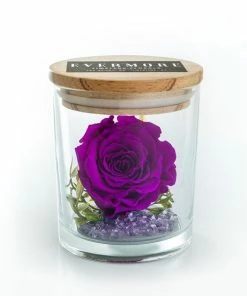 Onlineamericanstore The Evermore Preserved Purple Rose Keepsake Gift - Gift For Girlfriend - Gift For Wife - Gift For Women - Anniversary Gift Mother's Day Gift