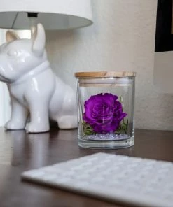 Onlineamericanstore The Evermore Preserved Purple Rose Keepsake Gift - Gift For Girlfriend - Gift For Wife - Gift For Women - Anniversary Gift Mother's Day Gift