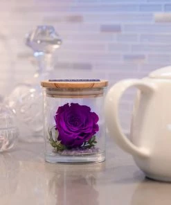 Onlineamericanstore The Evermore Preserved Purple Rose Keepsake Gift - Gift For Girlfriend - Gift For Wife - Gift For Women - Anniversary Gift Mother's Day Gift