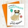 Onlineamericanstore Happy Birthday Birthday Social Distancing Card, Birthday Card, Quarantine Birthday Card, Card For Best Friend, Pug Birthday Card