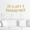 Onlineamericanstore 30th Birthday Quarantine Banner, Thirtieth Birthday Quaratined Thirty