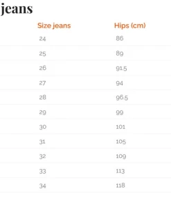 The American Store American Flag Denim Frayed Jean Shorts