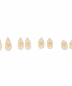 JETTING HomeGarden Store Halloween Decorations Horrific Dress Vampire Teeth Halloween Party Dentures Props Vampire Zombie Devil Fangs Teeth 1pair Halloween Decoration 12 JETTING HomeGarden Store Halloween Decorations Horrific Dress Vampire Teeth Halloween Party Dentures Props Vampire Zombie Devil Fangs Teeth 1pair Halloween Decoration