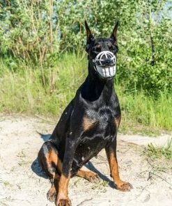 Onlineamericanstore Funny Smiling Muzzle For Dog, Doberman, Pit Bull, German Shepard, Bull Terrier, Pinscher, Husky Funny Dog Accessory - Smiling Dog Halloween Pets Accessories
