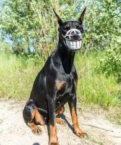 Onlineamericanstore Funny Smiling Muzzle For Dog, Doberman, Pit Bull, German Shepard, Bull Terrier, Pinscher, Husky Funny Dog Accessory - Smiling Dog Halloween Pets Accessories